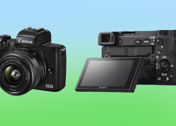 Mirrorless a6400 cadangan baterai memilih photofocus rekomendasi alasan bukalapak beli tepat pentingnya